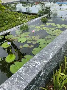 Grand Mercure Khao Lak Bangsak - 92