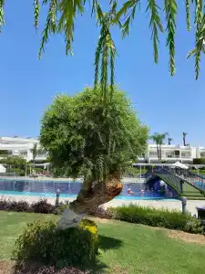 Monte Carlo Sharm Resort & Spa - 73