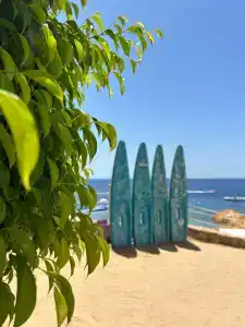 Concorde El Salam Sharm El Sheikh Sport - 87