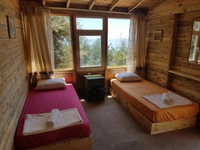 Shiva Camp - 53