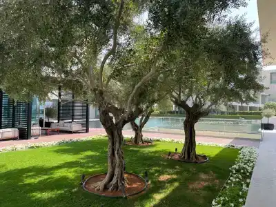 The Oberoi Beach Resort, Al Zorah - 3