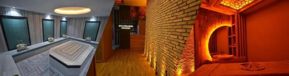 Snowflake Dag & SPA - 14