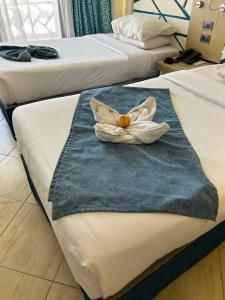 Gravity & Aqua Park Hurghada Families and Couples Only - 27