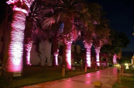 Yelken Mandalinci Spa&Wellness - 13