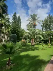 Sunis Elita Beach Resort & SPA - 83