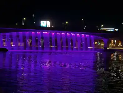 V Dubai, Curio Collection by Hilton - 5