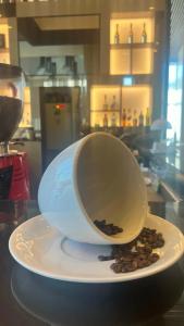 Hilton Garden Inn Istanbul Airport - 20