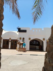 Domina Coral Bay Resort, Diving , Spa & Casino - 69