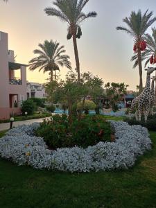 Rehana Sharm Resort - Aquapark & Spa - Couples and Family Only