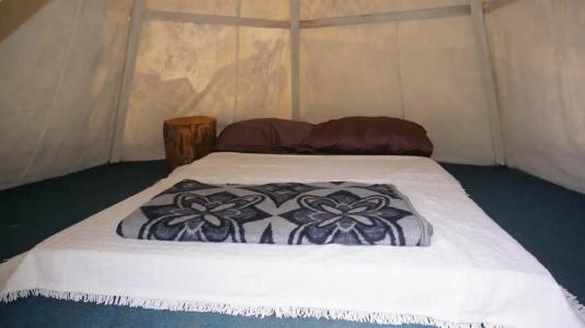 Shiva Camp - 19