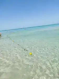 Marbella Resort - 43