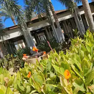 Reef Oasis Beach Aqua Park Resort - 82