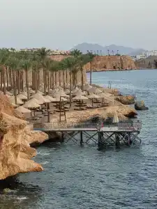 The Grand Sharm El Sheikh - 93