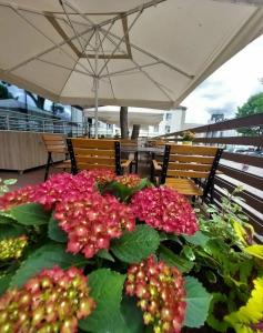 Hampton By Hilton Bialystok - 47