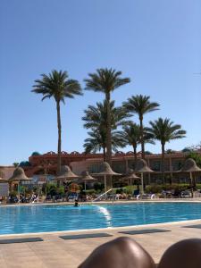 Parrotel Beach Resort - 92