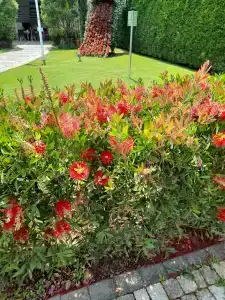 Granada Luxury Belek - Family Kids Concept - 84