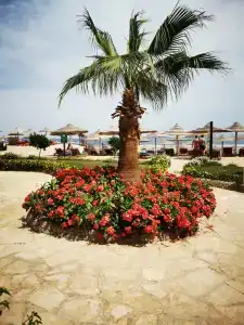 Charmillion Gardens Aquapark - 76