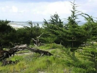 Asilomar Conference Grounds - 41