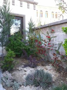 Osmanli Cappadocia - 28