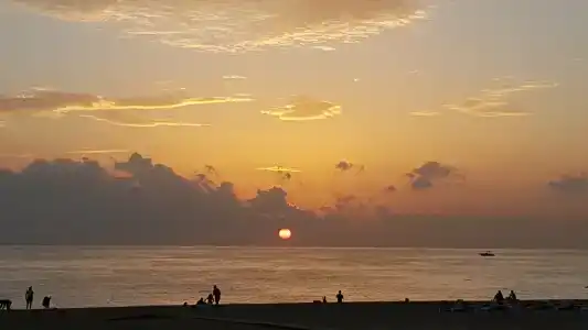 Botanik Platinum - 53