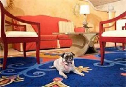 Ventura Beach Marriott - 18