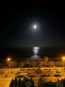 Sey Beach & Spa - 14