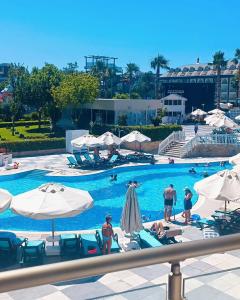 Crystal Prestige Elite - 71