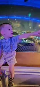 Hyatt Regency Dubai - 73