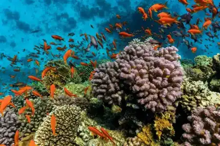 The Cascades Golf Resort, Spa & Thalasso - 95