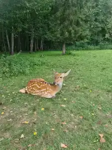 Bodrum Holiday Resort & Spa - 57