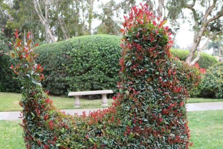 Best Western Plus South Coast Inn - 23