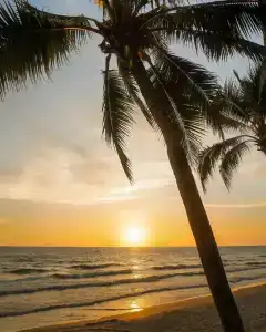 The Chill Resort and Spa, Koh Chang - 52