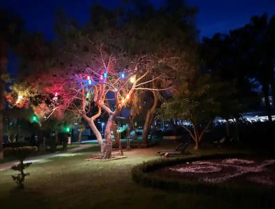 Euphoria Palm Beach Resort - 20