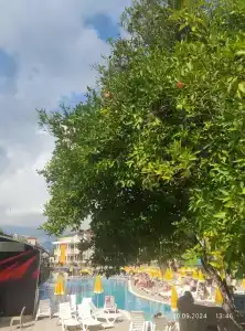 Tu Casa Gelidonya - 36