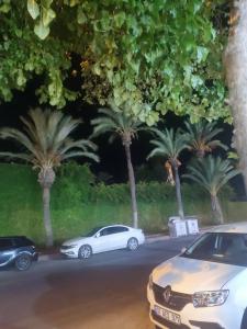 Akka Claros - All Inclusive - 99