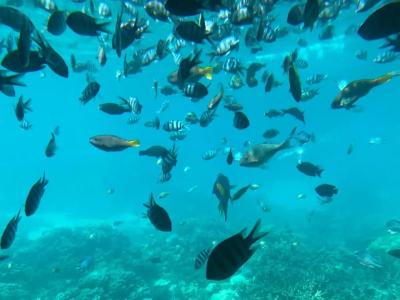 Blend Club Aqua Resort - 22