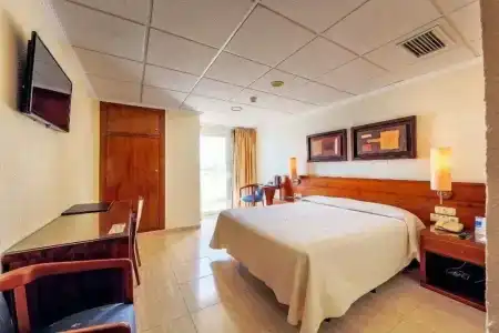 Masa International - 50