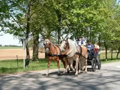 Gasthof Zur Post - 4