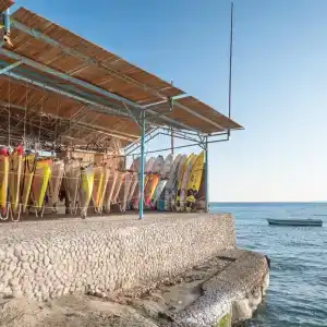 Seagull Beach Resort - Families and Couples Only - 69