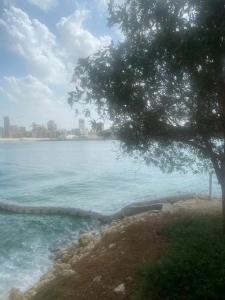 Novotel Bahrain Al Dana Resort - 45