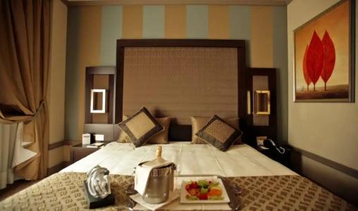 Grand Visconti Palace - 84