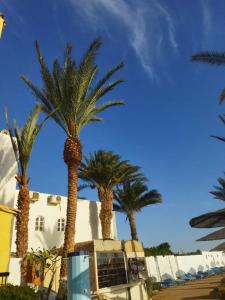 Sand Beach Resort - 87