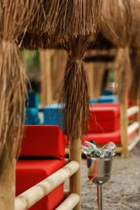 Assos Barbarossa - Special Category - 33