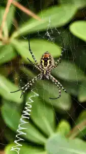 Aquaworld Belek - 88