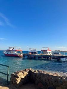 Lotus Bay Resort - 48