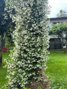 Kimeros Park Holiday Village - Ultra All Inc. Kids Concept - 96