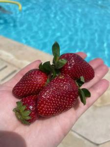 Sunrise Holidays Resort -Adults Only - 76