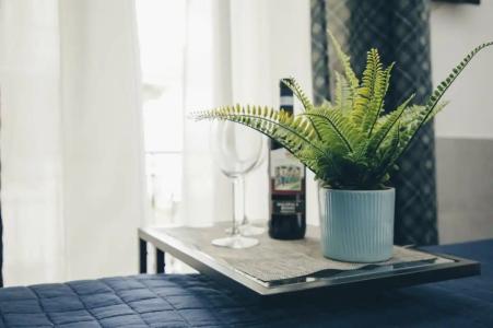 Ideal City Walk - 63