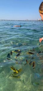 Charmillion Club Resort - 14