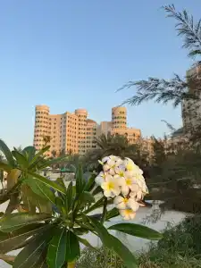 Al Hamra Residence - 67